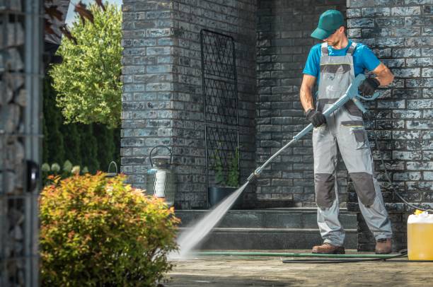 Best Gutter Cleaning and Brightening in Millington, NJ